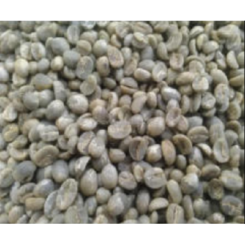 produção profissional de fábrica de grãos de café verde